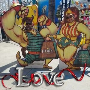 Meet your Posher, Jamie